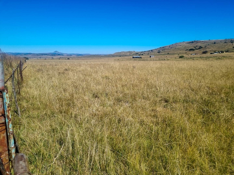 0 Bedroom Property for Sale in Paul Roux Free State